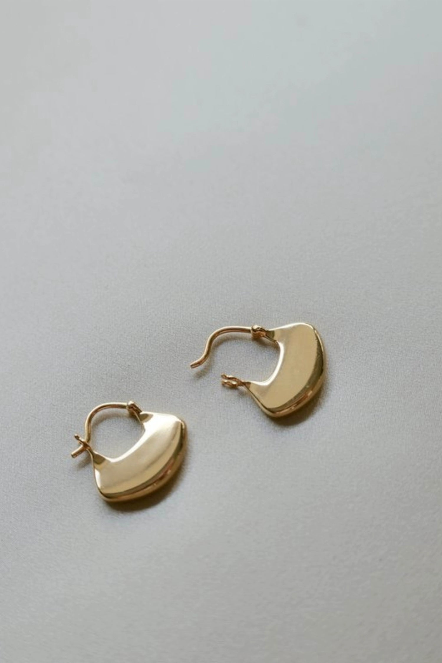 Ginkgo Hoop Earrings Gold & Silver 2 Sizes